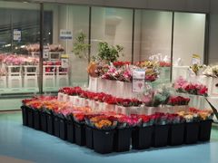 -盒马X会员店(上海森兰商都店)