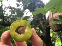 -仙海旅游度假区