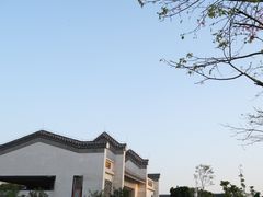 -宝安西湾红树林湿地公园