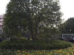 -兰溪青年公园