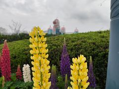 -季高兔窝窝亲子园(上海薰衣草公园店)