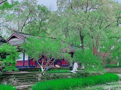 -桂湖森林公园