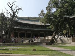 -晋祠公园