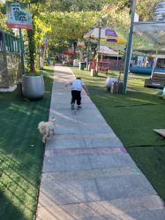 -萌宠亲子动物乐园(槐房万达店)