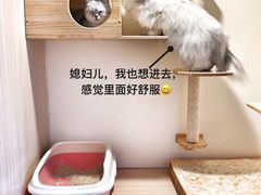 -Double Rui宠物酒店
