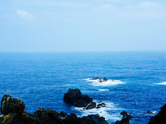 -涉地可支