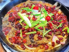 -老板恋上鱼(恒隆广场店)