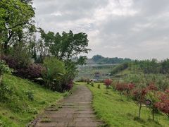 -两江国际影视城