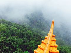 -大屏嶂森林公园