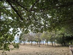 -胖哥俩肉蟹煲(福州仓山爱琴海店)