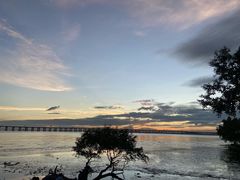 -宝安西湾红树林湿地公园