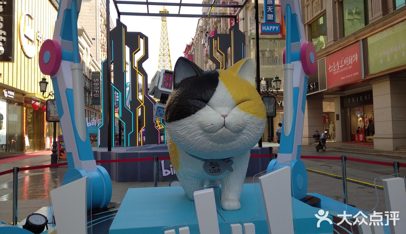 五一的布置很有意思呀，特别喜欢这几只猫猫的模型