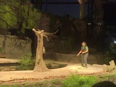 -夜间野生动物园