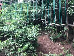 -芦仙山景区-飞越丛林探险乐园