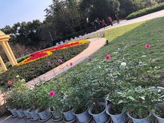 -南山植物园