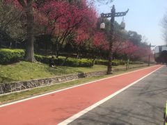 -宜兴龙背山森林公园
