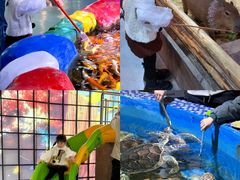 -顺德南宏海立方海洋公园