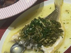-圆苑(静安寺店)