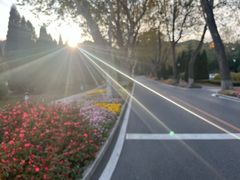 -棒棰岛宾馆景区