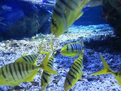 -海合安武汉极地海洋公园