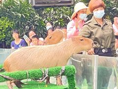 -东方雅典水疗美食汇(金海岸大厦店)