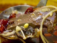 -敦煌楼(御景·阳光润园店)