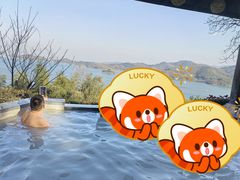 -天目湖涵田半山温泉