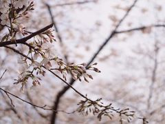 -上海南浦大桥长途旅游客运站