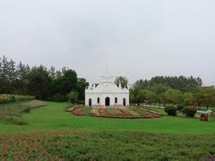 -杭州湾海上花田景区