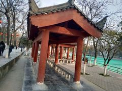 -莲湖公园
