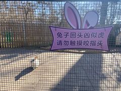 -保定市动物园