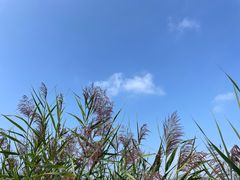 -野鸭湖国家湿地公园