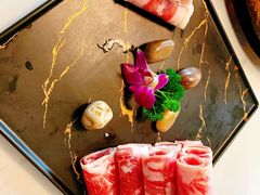 -菌子鲜汤野生菌锅