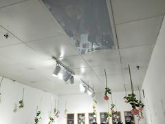 -成都失恋馆