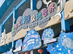 -泉城欧乐堡海洋极地世界