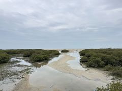 -北海金海湾红树林生态旅游区