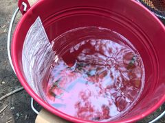 -碓臼峪自然风景区