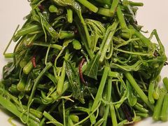 油鸡枞拌辣木苗-马旺子酒楼