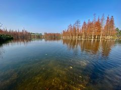 -白鹭湾湿地公园
