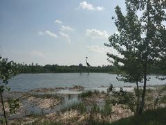 -蒲河岛湿地公园