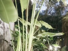 -大妙火锅·非物质文化遗产(东湖公园店)