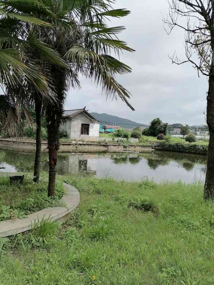 南洲湖山庄-"五一在网上团的139两大一小的劵,看中的.