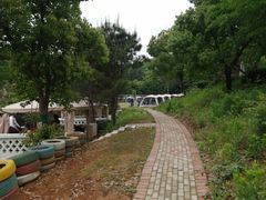 -龙寺生态园