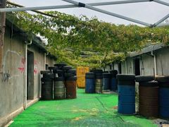 -东湖小天池真人CS彩弹野战基地