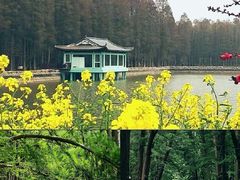 -留芳·文旅古月楼(老街店)