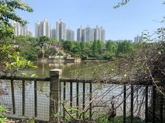 -棕榈泉国际花园1期