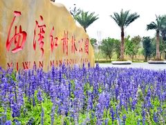 -宝安西湾红树林湿地公园