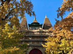 -北京石刻艺术博物馆(五塔寺)