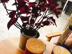 -古耳咖啡(北锣店)