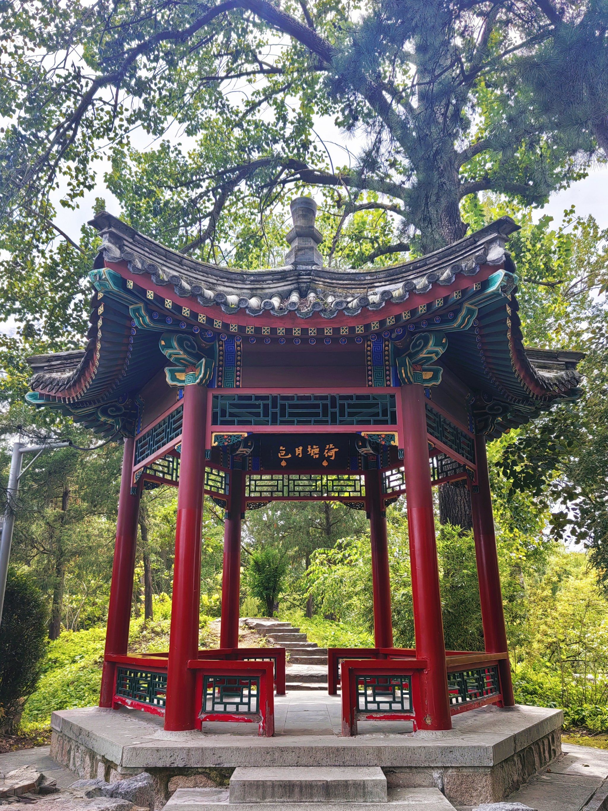 清华荷塘,无月色,别样红!